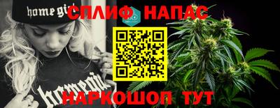 прущие крисы Кингисепп