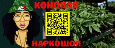 прущие крисы Кингисепп