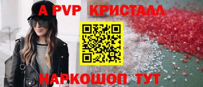 прущие крисы Кингисепп