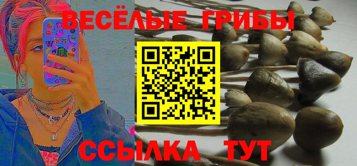 Псилоцибиновые грибы мицелий Красноперекопск